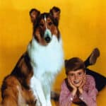 Jon Provost